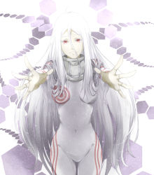 Rule 34 | 1girl, ahoge, albino, bodysuit, breasts, collar, colored eyelashes, deadman wonderland, gaigai, gloves, highres, long hair, navel, open mouth, red eyes, shiro (deadman wonderland), skin tight, smile, solo, very long hair, white hair