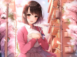 Rule 34 | 1girl, :d, absurdres, blush, breasts, brown eyes, brown hair, cherry blossoms, collared shirt, commentary request, day, hat, unworn hat, unworn headwear, highres, holding, holding clothes, holding hat, huge filesize, jacket, katou megumi, long sleeves, looking at viewer, medium breasts, open clothes, open jacket, open mouth, outdoors, petals, pink jacket, saenai heroine no sodatekata, shirt, short hair, skirt, smile, solo, sunset, tree, white shirt, yukiunag1