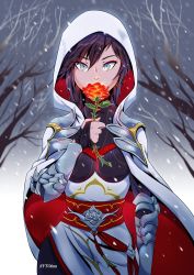 Rule 34 | 1girl, absurdres, armor, bare tree, brown hair, cape, cowboy shot, flower, highres, looking at viewer, rose, rwby, short hair, grey eyes, snow, solo, summer rose, sytokun, tree, white cape, white hood, winter
