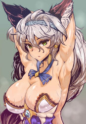 Rule 34 | 10s, 1girl, animal ear fluff, animal ears, areola slip, armpits, arms behind head, blue eyes, breasts, cat ears, cleavage, erune, gold trim, granblue fantasy, grey background, grey hair, hairband, heles, highres, large breasts, long hair, looking at viewer, revision, simple background, solo, sweat, textless version, wakura (gcdan), yellow eyes