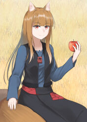 Rule 34 | 1girl, animal ears, apple, black skirt, black vest, blonde hair, blue shirt, closed mouth, eien (x0b3o6x7), food, fruit, highres, holding, holding food, holding fruit, holo, jewelry, long hair, looking at viewer, necklace, red eyes, shirt, sitting, skirt, solo, spice and wolf, vest, wheat field, wolf ears, wolf girl