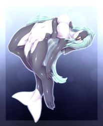 Rule 34 | 1girl, aqua hair, artist request, breasts, brown eyes, dolphin, female focus, full body, furry, furry female, gradient background, highres, long hair, monster girl, orca, pussy, simple background, solo, whale