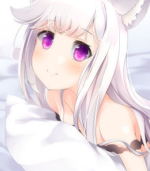 Rule 34 | 1girl, nanashi inc., animal ear fluff, animal ears, animare, bare shoulders, bed sheet, blurry, blurry background, breasts, closed mouth, collarbone, depth of field, highres, long hair, lying, on stomach, pillow, purple eyes, sch, shiromiya mimi, small breasts, smile, solo, strap slip, virtual youtuber, white hair