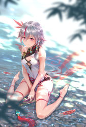 Rule 34 | 1girl, between legs, breasts, closed mouth, commentary request, day, dress, feathers, fu hua, fu hua (phoenix), gold trim, gotointhepark, gradient hair, hair between eyes, hair ornament, hand between legs, highres, honkai (series), honkai impact 3rd, long hair, looking at viewer, medium breasts, multicolored hair, outdoors, pelvic curtain, red eyes, red hair, ripples, shade, side slit, silver hair, sitting, smile, solo, streaked hair, tassel, thighlet, turquoise (gemstone), wariza, water