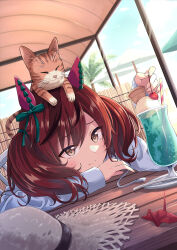 Rule 34 | 1girl, animal, animal ears, animal on head, brown eyes, brown hair, cat, cat on head, commentary, cream soda, ear covers, hat, highres, horse ears, horse girl, long sleeves, medium hair, mixed-language commentary, murasaki himuro, nice nature (umamusume), on head, red hair, solo, straw hat, two side up, umamusume