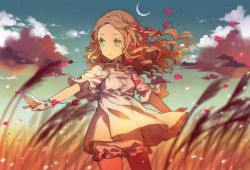 Rule 34 | 1girl, bloomers, blurry, brown hair, cloud, crescent moon, depth of field, field, forehead, green eyes, h2so4, long hair, moon, original, outstretched arms, petals, sketch, sky, solo, spread arms, underwear, wavy hair