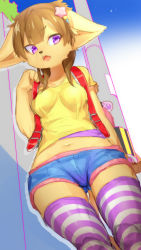 Rule 34 | 1girl, animal ears, blouse, body fur, breasts, brown hair, cat ears, cat girl, cat tail, cowboy shot, dog, female focus, from below, furry, furry female, gradient background, open mouth, outdoors, purple eyes, shirt, short hair, short shorts, shorts, sky, solo, striped clothes, striped thighhighs, suurin (ksyaro), tail, thighhighs, yellow shirt