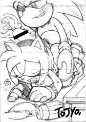Rule 34 | aku tojyo, amy rose, cum, cum in pussy, deep penetration, doggystyle, furry, moaning, monochrome, orgasm, sega, sex, sex from behind, sonic the hedgehog, sonic (series), x-ray