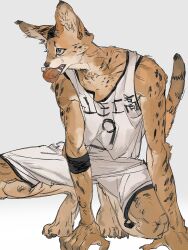 Rule 34 | 1boy, all fours, animal ears, animalization, ball, basketball (object), basketball jersey, basketball uniform, brown fur, cat boy, cat ears, cat tail, full body, furry, furry male, grey background, highres, male focus, mouth hold, sawakita eiji, serval, shorts, simple background, slam dunk (series), solo, sportswear, spotted fur, tail, tank top, wfi1584191, white shorts, white tank top