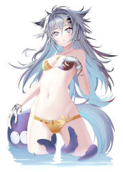 Rule 34 | 1girl, absurdres, animal ears, arknights, bare arms, bare shoulders, bikini, commentary request, cowboy shot, gloves, grey eyes, grey gloves, hair between eyes, hair ornament, hairclip, highres, lappland (arknights), long hair, messy hair, navel, octopus, parted lips, scar, scar across eye, scar on face, silver hair, simple background, solo, standing, stomach, swimsuit, thighs, very long hair, wading, white background, wolf ears, yellow bikini, yuu (yuu yu)