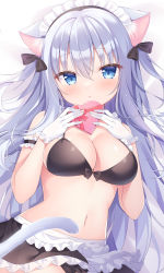 Rule 34 | 1girl, absurdres, animal ears, apron, arm garter, bare shoulders, bikini, black bikini, black skirt, blue eyes, box, breasts, cat ears, cat girl, cat tail, cleavage, gloves, hair ribbon, headdress, heart-shaped box, highres, holding, long hair, looking at viewer, maid, maid apron, maid bikini, maid headdress, medium breasts, miniskirt, navel, original, parted lips, ribbon, shiono (0303), skirt, solo, stomach, string bikini, swimsuit, tail, two side up, unconventional maid, waist apron, white gloves, white hair