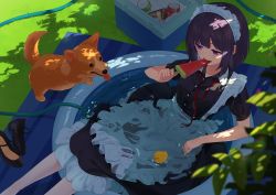 Rule 34 | 1girl, animal, apron, black dress, black hair, blush, can, clothed bath, collared dress, commentary request, cooler, day, dog, dress, feet out of frame, food, frilled apron, frilled dress, frills, highres, holding, holding food, hose, kanpa (campagne 9), maid, maid headdress, original, outdoors, partially submerged, popsicle, puffy short sleeves, puffy sleeves, purple eyes, shade, short hair, short sleeves, solo, teeth, upper teeth only, wading pool, watermelon bar, wet, wet apron, wet clothes, wet dress, white apron