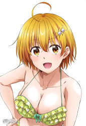 Rule 34 | 1girl, absurdres, bikini, blonde hair, breasts, cleavage, collarbone, dokyuu hentai hxeros, hair ornament, hairpin, halterneck, highres, hoshino kirara, large breasts, looking at viewer, megami magazine, official art, open mouth, orange eyes, short hair, smile, solo, sparkle hair ornament, swimsuit, upper body, yamamoto ryousuke