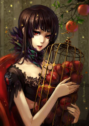 Rule 34 | 1girl, axis04, bad id, bad pixiv id, brown hair, cage, food, fruit, gothic lolita, highres, hime cut, lolita fashion, long hair, original, pomegranate, red eyes, red upholstery, sitting, solo
