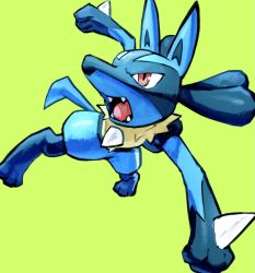 Rule 34 | af (afloatisland), creatures (company), fangs, furry, game freak, gen 4 pokemon, looking back, lucario, nintendo, open mouth, outstretched arms, pokemon, pokemon (creature), red eyes, solo, spikes, toes, tongue, yellow fur