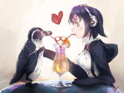 Rule 34 | 10s, albreo, bird, blush, breasts, cup, drink, drinking glass, drinking straw, grape-kun, headphones, heart, holding hands, humboldt penguin, humboldt penguin (kemono friends), hurricane glass, jacket, kemono friends, looking at another, penguin, simple background, table
