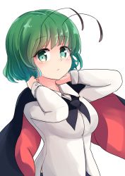 Rule 34 | 1girl, adda, antennae, cape, closed mouth, collared shirt, green eyes, green hair, highres, long sleeves, looking at viewer, one-hour drawing challenge, shirt, short hair, simple background, smile, solo, touhou, upper body, white background, white cape, white shirt, wriggle nightbug