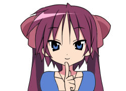Rule 34 | 00s, alternate hairstyle, blue eyes, hiiragi inori, long hair, lowres, lucky star, purple hair, solo, twintails