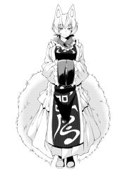 Rule 34 | 1girl, animal ears, breasts, closed mouth, dress, fluffy, fox ears, fox tail, full body, greyscale, highres, large breasts, looking at viewer, monochrome, no headwear, short hair, simple background, sleeves past wrists, smile, solo, standing, tabard, tail, touhou, white background, yakumo ran, zawa (zawzawranran2)