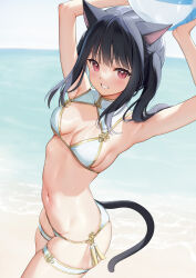 Rule 34 | 1girl, animal ears, armpits, ball, beachball, black hair, blush, breasts, cat ears, cat tail, highres, holding, long hair, looking at viewer, mignon, navel, original, red eyes, shiny skin, simple background, small breasts, smile, solo, stomach, tail, thighs, twintails