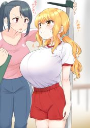 Rule 34 | 2girls, arms at sides, black hair, blush, breasts, clipboard, commentary request, female focus, gym uniform, hair tie, highres, holding, holding clipboard, huge breasts, indoors, measuring, multiple girls, open mouth, oppai loli, orange eyes, orange hair, original, pink shirt, ponytail, red eyes, red shorts, shirt, shirt tucked in, short sleeves, shorts, stadiometer, standing, sweatdrop, tented shirt, tongue, translated, twintails, white shirt, yue (show-ei)