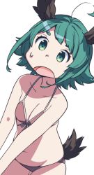 Rule 34 | 1girl, ahoge, animal ears, bare arms, bare shoulders, bikini, breasts, brown bikini, collarbone, commentary request, cowboy shot, front-tie bikini top, front-tie top, green eyes, green hair, halterneck, kasodani kyouko, looking at viewer, namauni, navel, open mouth, short hair, simple background, small breasts, solo, stomach, sweat, swimsuit, tail, thick eyebrows, touhou, white background