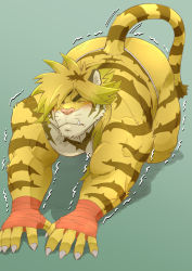 Rule 34 | 1boy, animal ears, ass, bandaged hand, bandages, bara, blonde hair, blush, commentary request, ei (marutendon), fang, full body, fundoshi, furry, furry male, japanese clothes, macan (housamo), male focus, male underwear, medium hair, muscular, muscular male, solo, stretching, tail, tiger boy, tiger ears, tiger tail, tokyo houkago summoners, topless male, twitching, underwear, underwear only, white male underwear, yellow fur