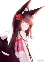 Rule 34 | 1girl, animal ears, azur lane, black hair, blunt bangs, commentary request, flower, fox ears, fox girl, fox tail, from behind, hair flower, hair ornament, long hair, looking at viewer, looking down, m ko (maxft2), nagato (azur lane), nagato (great fox&#039;s respite) (azur lane), pajamas, parted lips, petals, sidelocks, signature, simple background, tail, white background, yellow eyes
