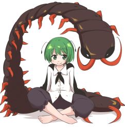 Rule 34 | 1girl, animal, antennae, barefoot, blush, bug, cape, centipede, collared shirt, indian style, jagabutter, looking at viewer, oversized animal, shirt, short hair, shorts, sitting, smile, solo, touhou, wriggle nightbug