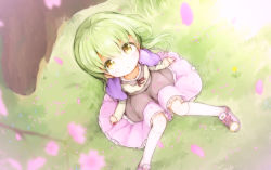 Rule 34 | 1girl, brown dress, brown eyes, capelet, cherry blossoms, circle skirt, commentary request, dress, from above, full body, green hair, highres, kankokoa, kneehighs, knees together feet apart, long hair, looking up, original, outdoors, petals, pink dress, pink footwear, purple capelet, shoes, socks, solo, tree, white socks