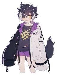Rule 34 | 1boy, :d, aged down, animal ears, black choker, black hair, black jacket, blush, child, choker, coojisan, cropped legs, fang, grey shirt, hair over one eye, highres, holostars, hood, hood down, hooded jacket, jackal boy, jackal ears, jackal tail, jacket, kageyama shien, looking at viewer, male focus, multicolored clothes, multicolored hair, multicolored jacket, official alternate costume, open clothes, open jacket, open mouth, oversized clothes, print shirt, purple shorts, shirt, short hair, short shorts, shorts, simple background, skin fang, sleeves past fingers, sleeves past wrists, smile, solo, streaked hair, tail, thigh strap, torn clothes, torn shirt, two-tone hair, two-tone jacket, virtual youtuber, white background, white hair, white jacket, yellow eyes