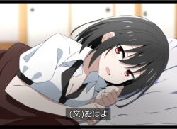 Rule 34 | 1girl, black hair, blush, breasts, cleavage, collared shirt, commentary, highres, looking at viewer, lying, medium hair, no headwear, on bed, on side, open mouth, puffy short sleeves, puffy sleeves, red eyes, shameimaru aya, shirt, short sleeves, smile, solo, touhou, to~fuya, translated, white shirt