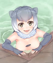 Rule 34 | 10s, 1girl, :d, animal ears, arm rest, black eyes, breasts, detached collar, elbow gloves, fangs, fingerless gloves, from above, fur collar, gloves, grey gloves, grey hair, highres, kemono friends, looking at viewer, looking up, medium breasts, medium hair, multicolored hair, nipple slip, nipples, nude, object on breast, open mouth, otter ears, partially submerged, ryouya, small-clawed otter (kemono friends), smile, solo, stone, two-tone hair, upper body, v-shaped eyebrows, water, white hair