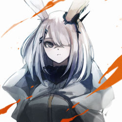 Rule 34 | 1girl, animal ears, arknights, black eyes, rabbit ears, commentary, frostnova (arknights), grey jacket, hair ornament, hair over one eye, hairclip, jacket, looking at viewer, medium hair, scar, scar on face, scar on nose, shimasato, solo, upper body, white background, white hair