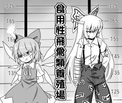 Rule 34 | 2girls, :t, bandage over one eye, bow, bruise, bruised eye, cast, cirno, eien no sai tori, fujiwara no mokou, greyscale, hair bow, hand in pocket, height chart, height difference, injury, long hair, monochrome, mugshot, multiple girls, pants, short hair, suspenders, touhou, translation request, wings