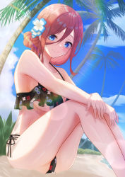 Rule 34 | 1girl, absurdres, alternate costume, beach, bikini, black bikini, blue eyes, blue flower, blue sky, blush, breasts, brown hair, cleavage, closed mouth, cloud, collarbone, commentary request, day, fingernails, floral print, flower, foot out of frame, go-toubun no hanayome, hair between eyes, hair flower, hair ornament, highres, hiyoku, knees to chest, large breasts, lips, long hair, looking at viewer, low-tied long hair, nakano miku, outdoors, palm tree, pink lips, plant, sand, sidelocks, sitting, sky, smile, solo, sunlight, swimsuit, tree, underboob, water, wet