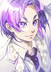Rule 34 | 1boy, absurdres, blue lock, closed mouth, collared shirt, commentary request, highres, lapels, looking at viewer, male focus, mikage reo, necktie, notched lapels, open collar, partial commentary, purple eyes, purple hair, shirt, short hair, solo, upper body, white shirt, yune525neko