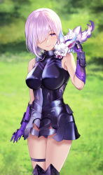 Rule 34 | 1girl, absurdres, armor, armored dress, breasts, creature, emanon123, fate/grand order, fate (series), fou (fate), gloves, grass, hair over one eye, highres, light purple hair, looking at another, mash kyrielight, on shoulder, outdoors, photo-referenced, purple eyes, purple gloves, purple hair, short hair, smile