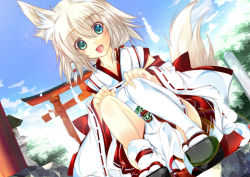 Rule 34 | 1girl, animal ears, bad id, bad pixiv id, blonde hair, blue eyes, detached sleeves, dutch angle, fox ears, hair ornament, japanese clothes, miko, open mouth, original, sandals, shirokitsune, solo, squatting, tail, thighhighs, torii