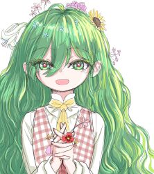 Rule 34 | 1girl, aged down, ascot, collared shirt, colored eyelashes, flower, green eyes, green hair, hair between eyes, hair flower, hair ornament, holding, holding flower, interlocked fingers, kazami yuuka, kazami yuuka (pc-98), long hair, long sleeves, open mouth, plaid, plaid vest, plant hair, red pupils, red vest, s-a-murai, shirt, simple background, solo, touhou, touhou (pc-98), very long hair, vest, white background, white shirt, yellow ascot