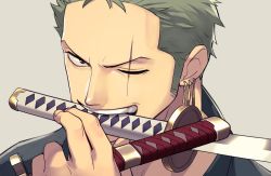 Rule 34 | 1boy, earrings, face, green hair, jewelry, male focus, one piece, roronoa zoro, shironegi zzz, simple background, smile, solo, sword, weapon