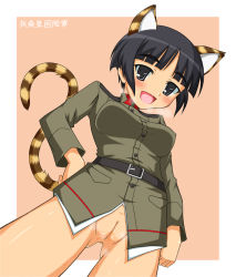 Rule 34 | animal ears, blush, cat ears, cat tail, cleft of venus, mugen panda, nakajima nishiki, pussy, smile, strike witches, tail, uncensored, world witches series