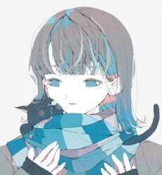 Rule 34 | 1girl, absurdres, animal, animal in clothes, black cat, blue eyes, blue scarf, blunt bangs, bob cut, brown hair, cat, commentary request, grey background, hands up, highres, limited palette, looking at animal, medium hair, nocopyrightgirl, nose bubble, original, parted lips, portrait, scarf, simple background, sleeves past wrists, solo