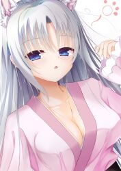 Rule 34 | 1girl, absurdres, animal ear fluff, animal ears, blue eyes, blush, breasts, cleavage, collarbone, commentary, eyes visible through hair, fingernails, grey hair, hair between eyes, hair down, half-closed eyes, hand up, highres, japanese clothes, kiki0319i, kimono, large breasts, long hair, looking at viewer, open mouth, pink kimono, senren banka, simple background, sleepy, solo, squeans, straight hair, tomotake yoshino, upper body, white background, wide sleeves, wolf ears
