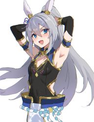 Rule 34 | 1girl, alternate costume, animal ears, armpits, arms up, blue eyes, blush, breasts, commentary request, grey hair, hair between eyes, hair ornament, highres, hitomin (ksws7544), horse ears, long hair, looking at viewer, simple background, small breasts, solo, tamamo cross (fierce thunder god) (umamusume), tamamo cross (umamusume), umamusume, white background