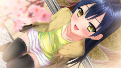 Rule 34 | 10s, 1girl, blue hair, blush, cherry blossoms, earrings, from above, highres, jewelry, kongouseki, long hair, looking at viewer, love live!, love live! school idol project, open mouth, sitting, solo, sonoda umi, thighhighs, yellow eyes