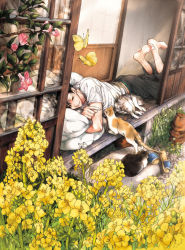 Rule 34 | 10s, 1boy, animal, architecture, bare arms, barefoot, black hair, black pants, bug, butterfly, cat, day, dutch angle, east asian architecture, flip-flops, flower, flower pot, flower request, from outside, futon, garden, grass, haikyuu!!, hug, indoors, insect, kuroo tetsurou, legs up, looking at viewer, lying, male focus, midoripurin, on floor, on stomach, pants, pink flower, plant, poking, sandals, shirt, shoes, unworn shoes, short sleeves, sleeping, sliding doors, smile, stack, t-shirt, the pose, transparent, veranda, wall, white shirt, yellow flower