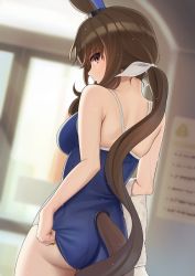 Rule 34 | 1girl, absurdres, admire vega (umamusume), animal ears, ass, backlighting, blue one-piece swimsuit, blurry, blurry background, breasts, brown hair, commentary request, from behind, hair ribbon, highres, holding, holding towel, horse ears, horse girl, horse tail, hukahito, indoors, long hair, looking at viewer, medium breasts, one-piece swimsuit, pink eyes, ponytail, ribbon, solo, swimsuit, tail, towel, tracen swimsuit, umamusume, white ribbon