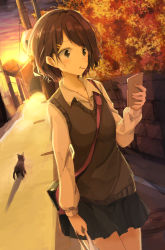 Rule 34 | 1girl, autumn leaves, bag, brown eyes, brown hair, cat, cellphone, collared shirt, dutch angle, food, hair ornament, hairpin, holding, holding phone, long sleeves, matching hair/eyes, mouth hold, original, phone, pocky, road, school uniform, shiina kuro, shirt, shopping bag, shoulder bag, smartphone, solo, sunset, sweater vest, utility pole
