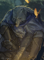 Rule 34 | 1boy, armor, black sclera, blaidd the half-wolf, blue eyes, bug, butterfly, cape, cloak, colored sclera, elden ring, fur cloak, furry, furry male, highres, insect, male focus, meganemido, outdoors, signature, solo, wolf boy, yellow butterfly